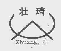 壮琦