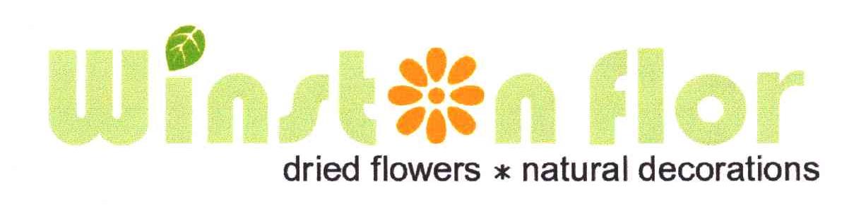WINSTON FLOR DRIED FLOWERS NATURAL DECORATIONS