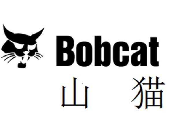 山猫 BOBCAT