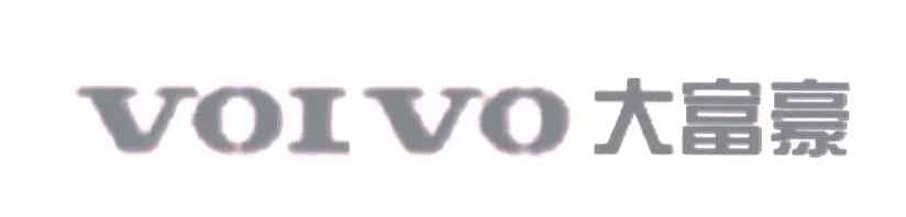 大富豪;VOIVO