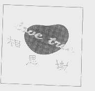 相思树   LOVE TREE