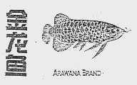 金龙鱼;ARAWANA