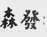森发