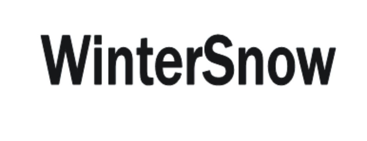 WINTERSNOW