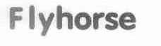 FLYHORSE