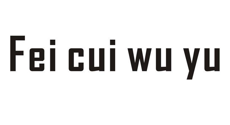 FEICUIWUYU