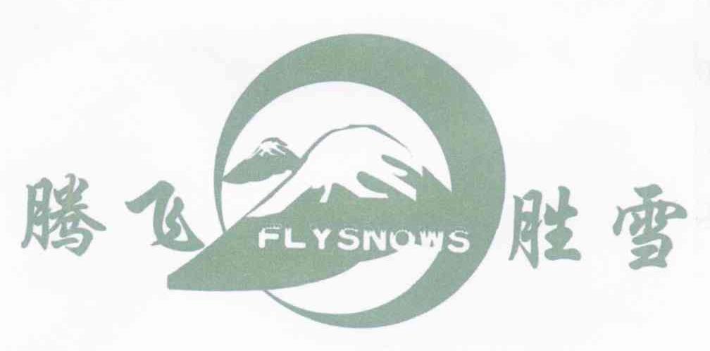 腾飞胜雪 FLYSNOWS