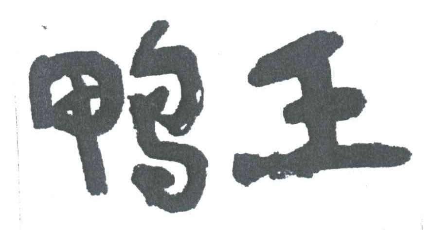 鸭王