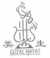 美生;GUZAL HAYAT