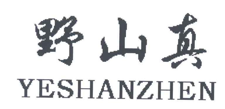 野山真