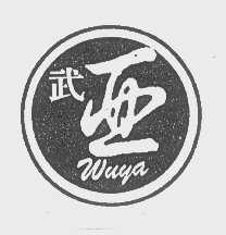 武亚   亚