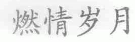 燃情岁月