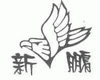 新鹏