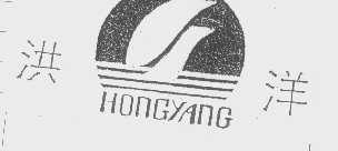 洪洋