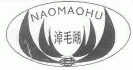 淖毛湖