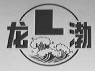 龙渤