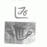 匹匹