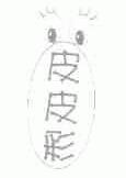 皮皮彩