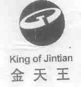 金天王;KING OF JINTIAN