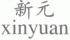 新元