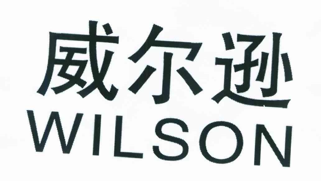 威尔逊 WILSON
