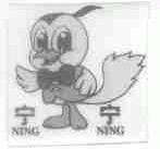 宁宁