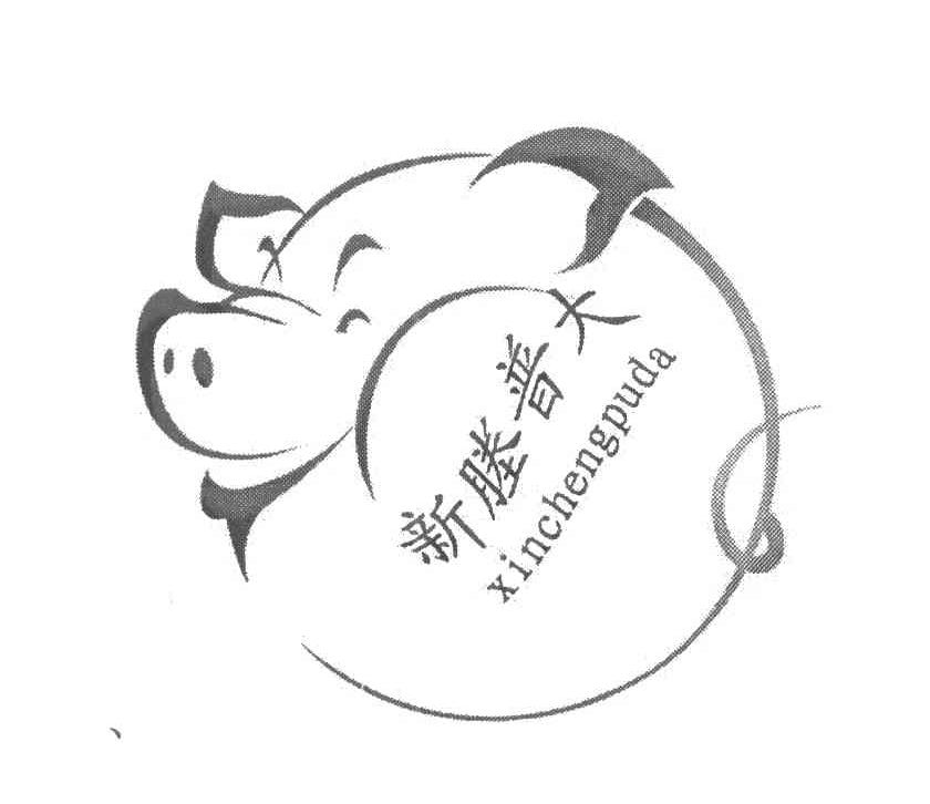 新塍普大