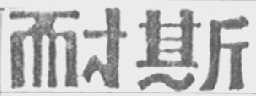 耐斯