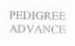 PEDIGREE ADVANCE