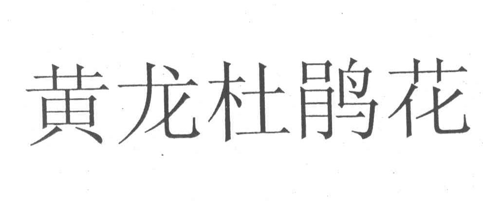 黄龙杜鹃花