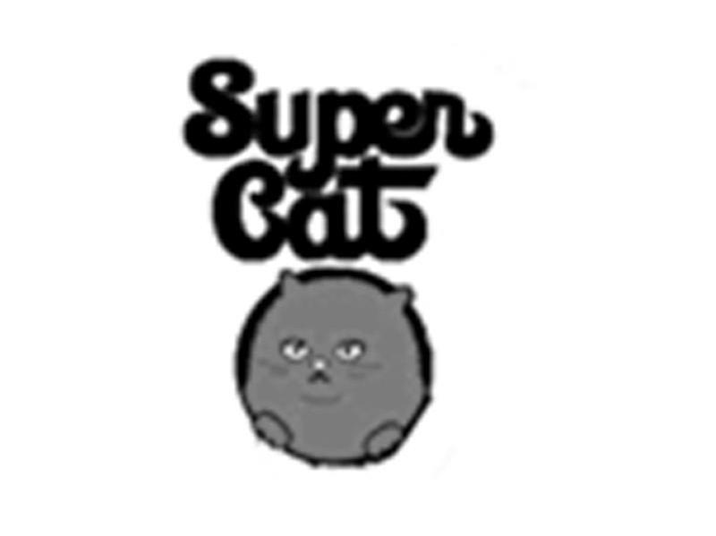 SUPER CAT