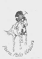 PARA POLO UNION
