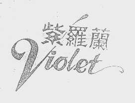 紫罗兰   VIOLET