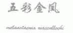 五彩金凤;MELANOFAENIA MACCULLOCHI
