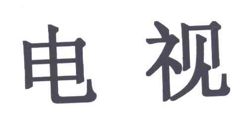 电视