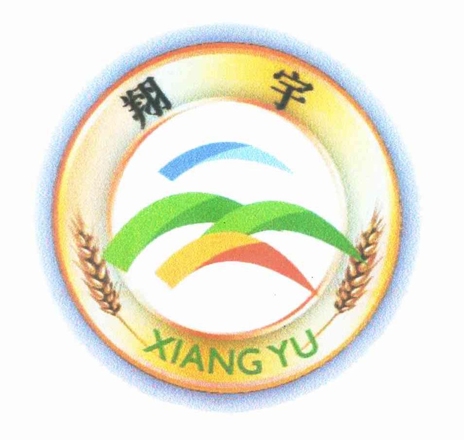 翔宇