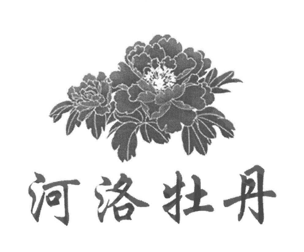 河洛牡丹