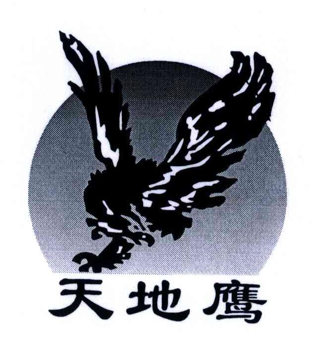 天地鹰