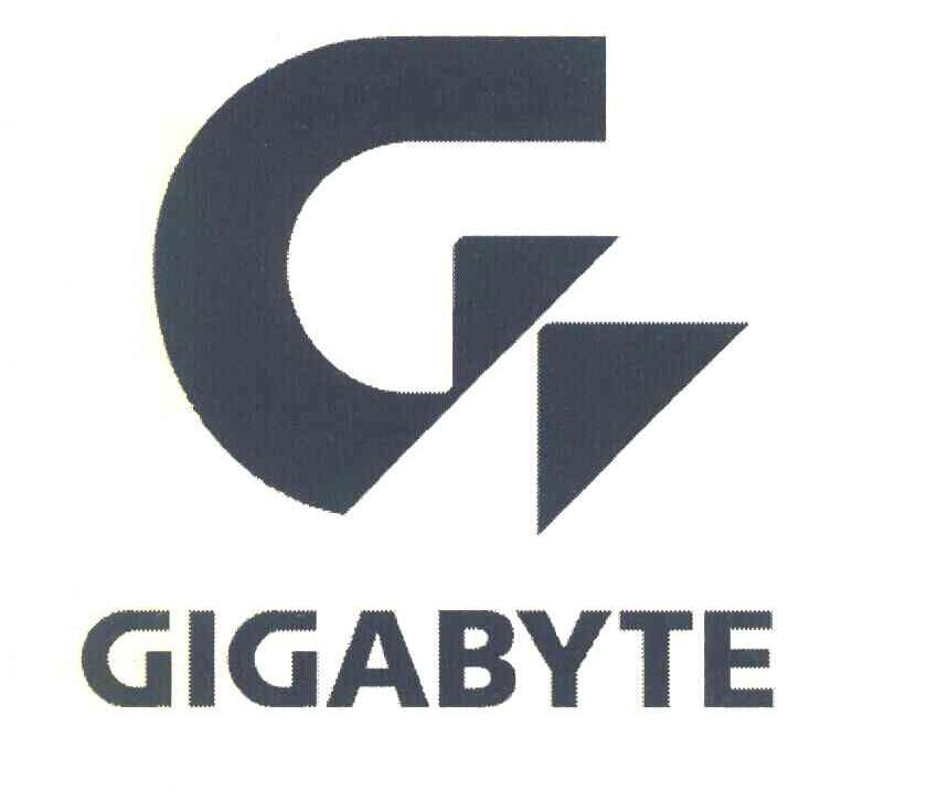 GIGABYT G