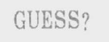 GUESS ?
