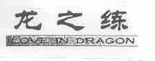 龙之练;LOVE IN DRAGON