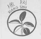 橡树