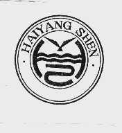 HAIYANG SHEN