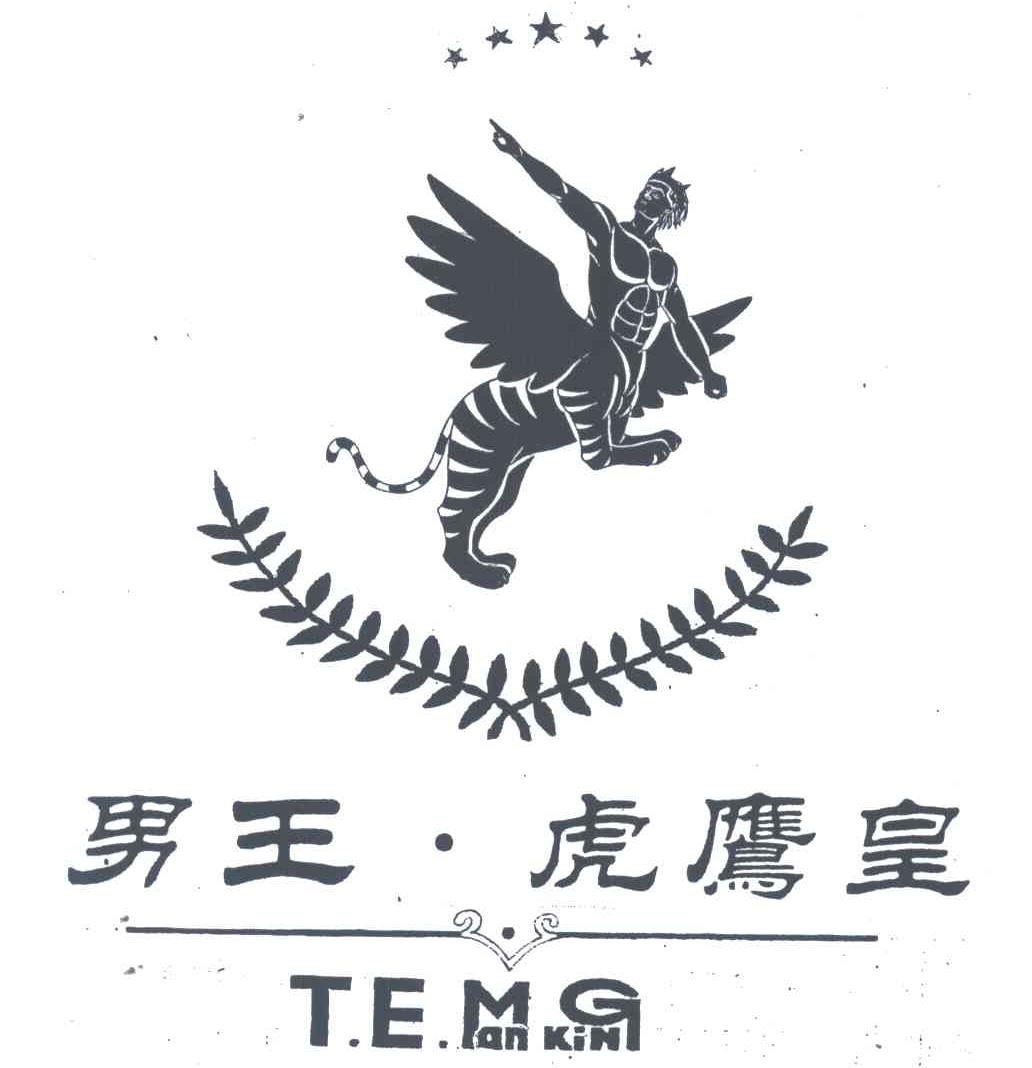 男王.虎鹰皇;TE MAN KING