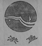 洪鱼