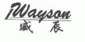 威辰;WAYSON