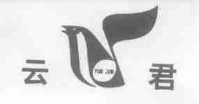 云君