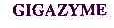 GIGAZYME