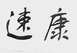 速康
