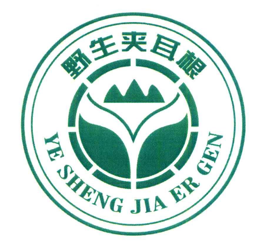 野生夹耳根